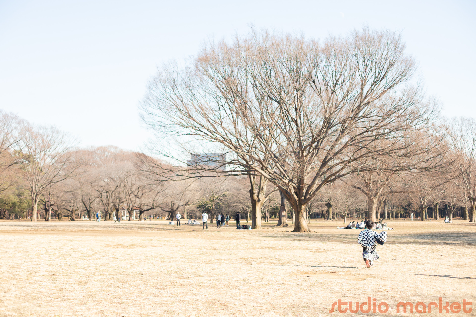 STUDIO撮ろうよのメイン画像