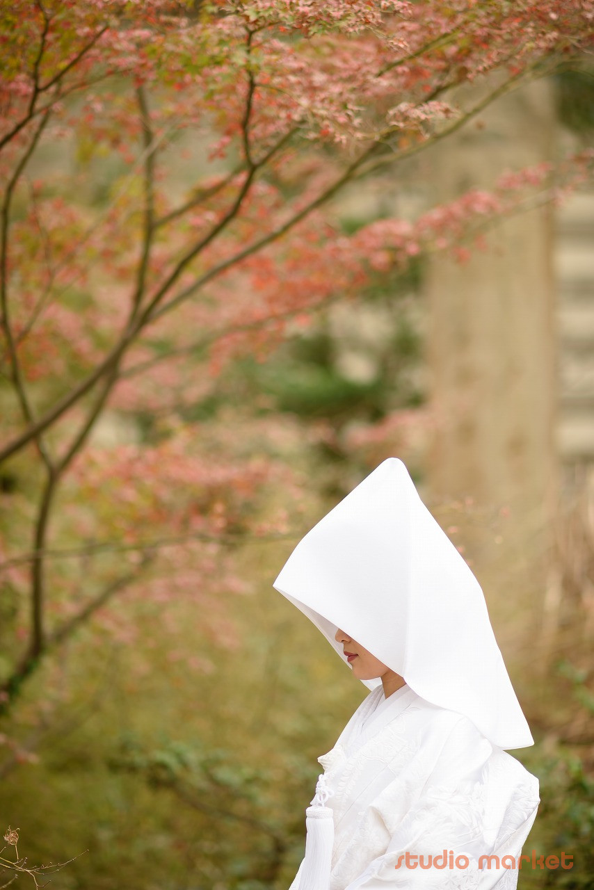 STUDIO撮ろうよのメイン画像