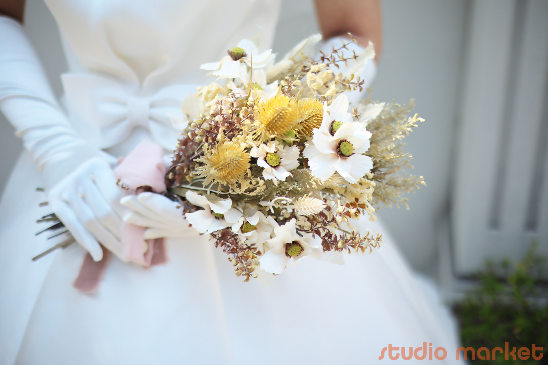 STUDIO撮ろうよのメイン画像