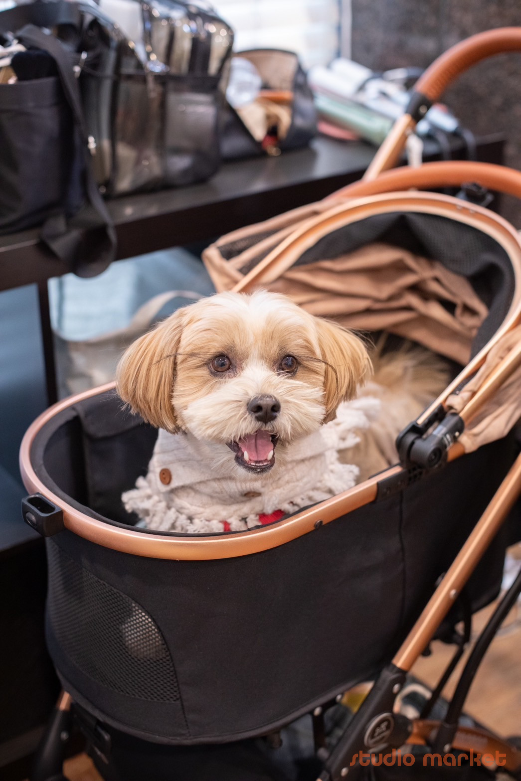 STUDIO撮ろうよのメイン画像