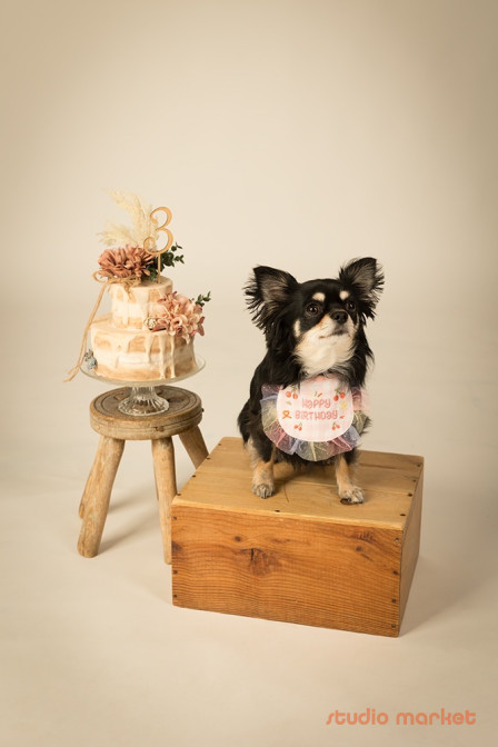 STUDIO6の口コミ画像