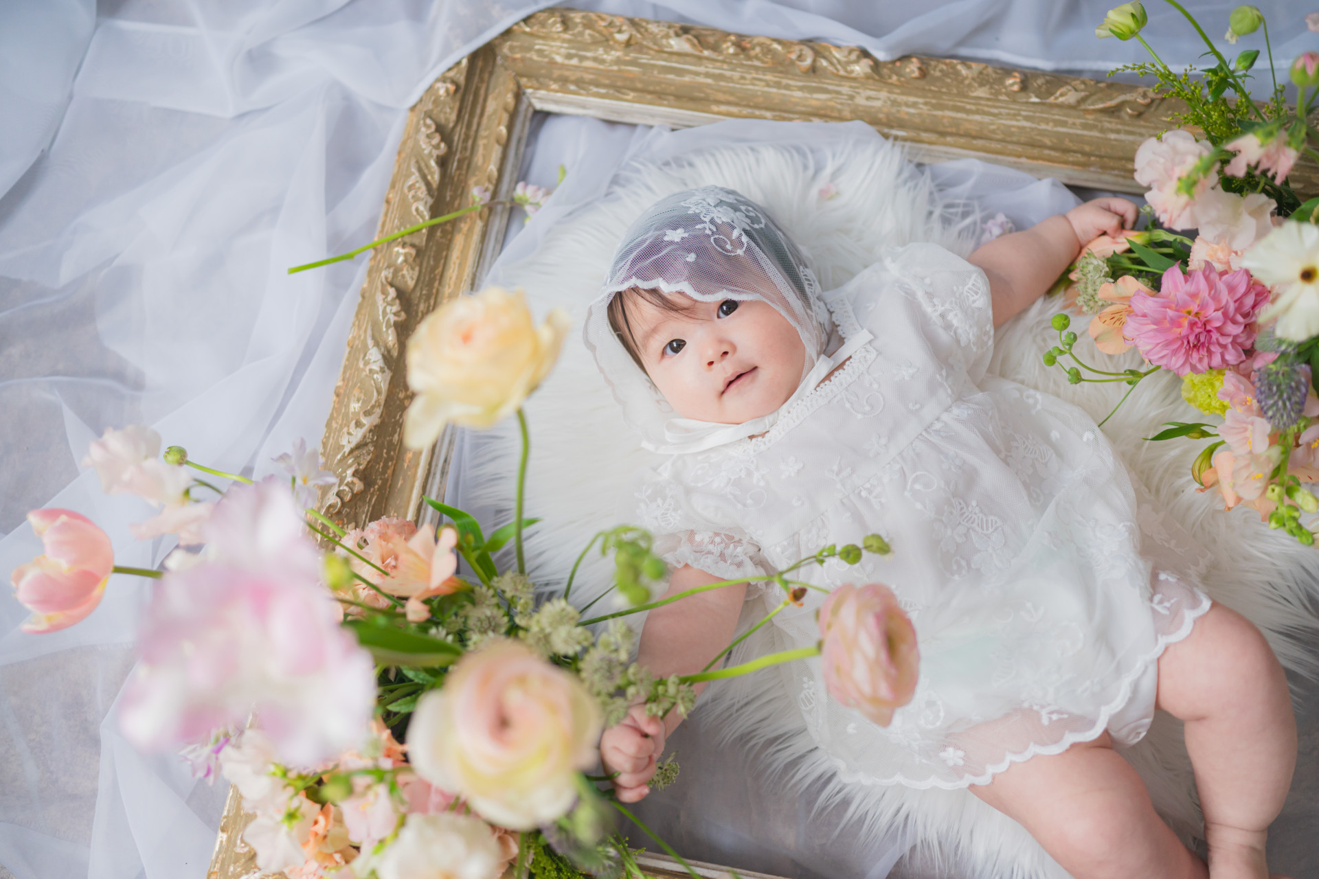 生花撮影プラン(アレンジメントSサイズ)