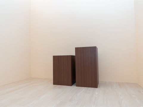 【15分撮り放題】モノクロ写真 studio Cプラン