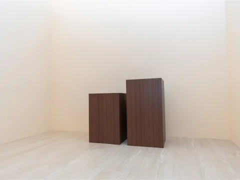 【15分撮り放題】モノクロ写真 studio Cプラン