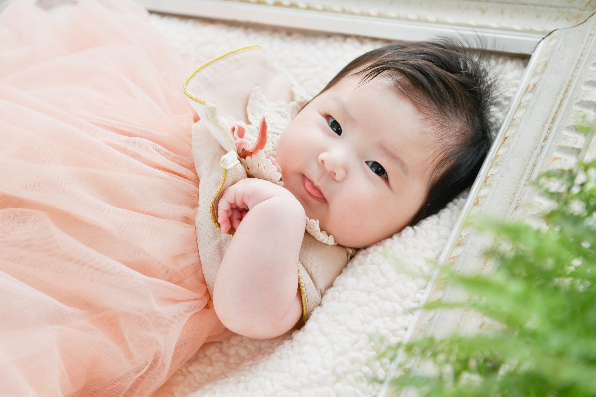 ベビーフォトプラン